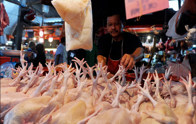 Ayam merupakan antara sumber protein yang baik selain daging dan ikan.