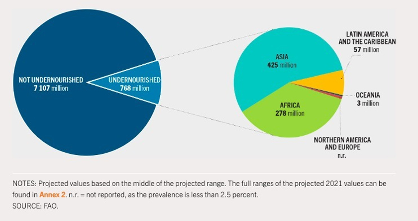 The fewer crops harvested and planted in 2022 are likely to instigate a spiral of worsening global food security in the year ahead too.  - Food and Agriculture Organization of the United Nations