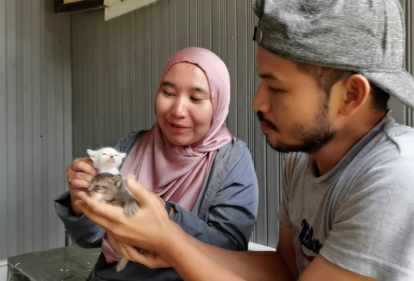 Junaidi Ismail bersama beberapa ekor kucing kesayangannya. - Astro AWANI