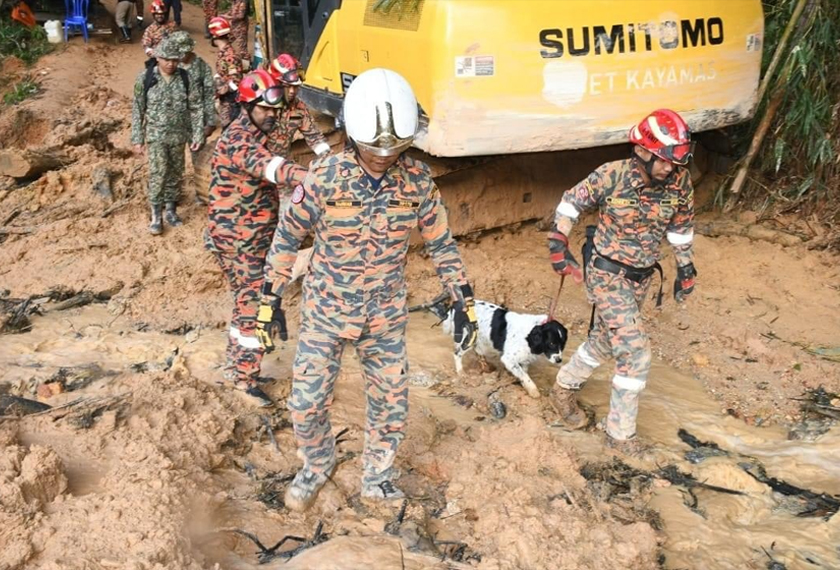 Operasi SAR turut dibantu oleh anjing unit pengesan (K9) - Foto/JBPM
