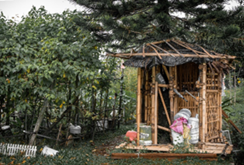 To safekeep - MY Bamboo Project