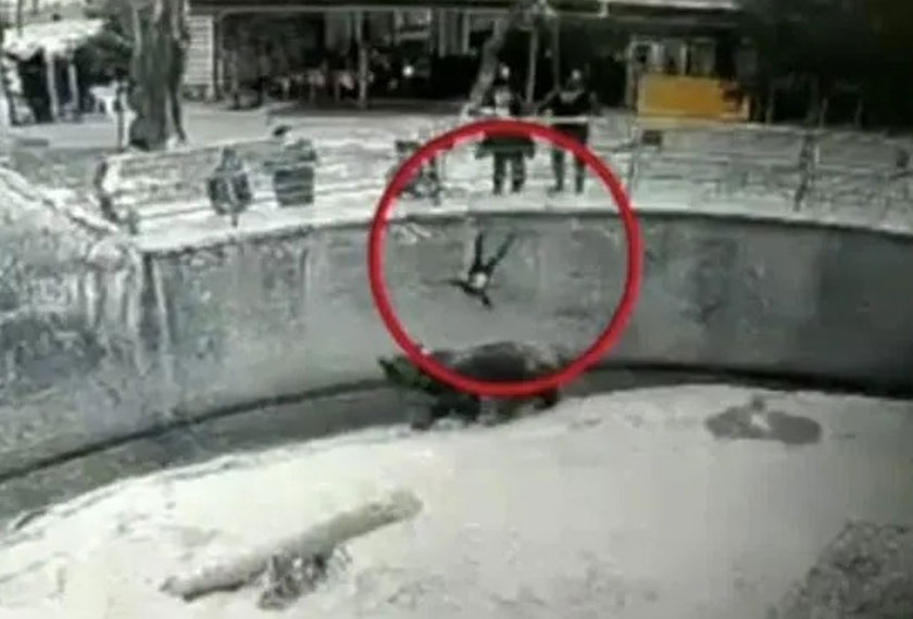 Tindakan mengejutkan itu dirakam kamera litar tertutup zoo berkenaan. - Tangkap layar Twitter @RezZureKtedPoeT  