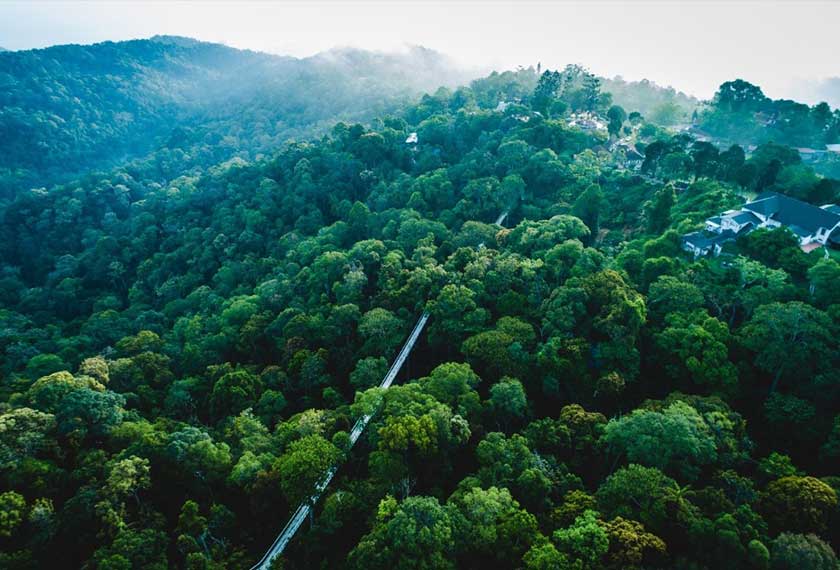 Pemandangan Taman Negara Pulau Pinang dan The Habitat Penang Hill dari atas Rancangan Kawasan Khas Penang Hill (rujuk Peta).