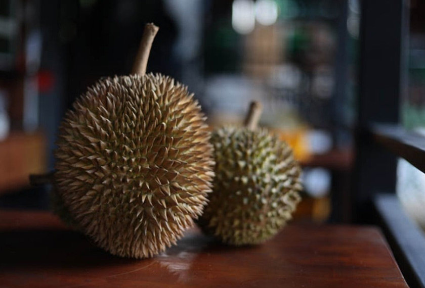 Penggemar durian boleh menikmati pelbagai jenis durian di D’Bilut Agro Farm. – credit: dbilut.com