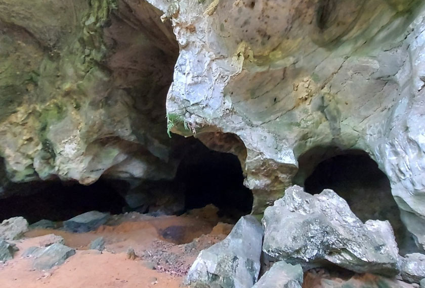 Gua Pinang merupakan sebahagian daripada Kubang Badak BioGeoTrail yang terbentuk ekoran gerakan ombak kira-kira 6,000 tahun lalu ketika paras air laut berada 15 meter lebih tinggi berbanding paras air laut ketika ini.