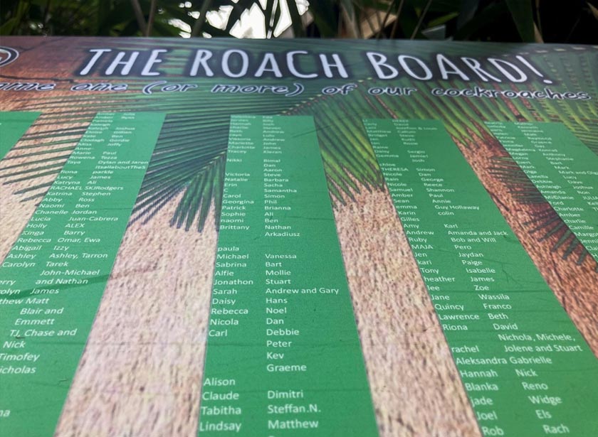 The 'Roach Board' from the year 2020, featuring names of people who donated and their chosen name, is seen at the Hemsley Conservation Centre, in Fairseat, Kent, Britain. - REUTERS