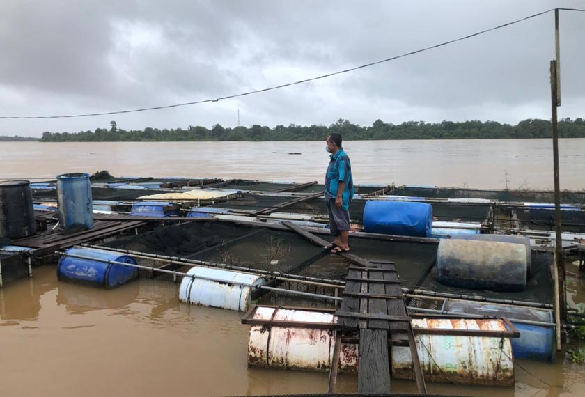 Ali reda dengan dugaan yang dihadapinya apabila 6,000 ekor ikan Patin sangkar belaannya mati akibat air kotor yang dibawa ke Sungai Pahang. - Foto Astro AWANI