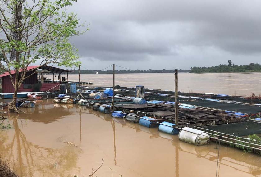Tambah penternak itu, besar harapannya agar pihak berwajib tidak terlepas pandang untuk membantu pengusaha sepertinya yang terkesan. - Foto Astro AWANI