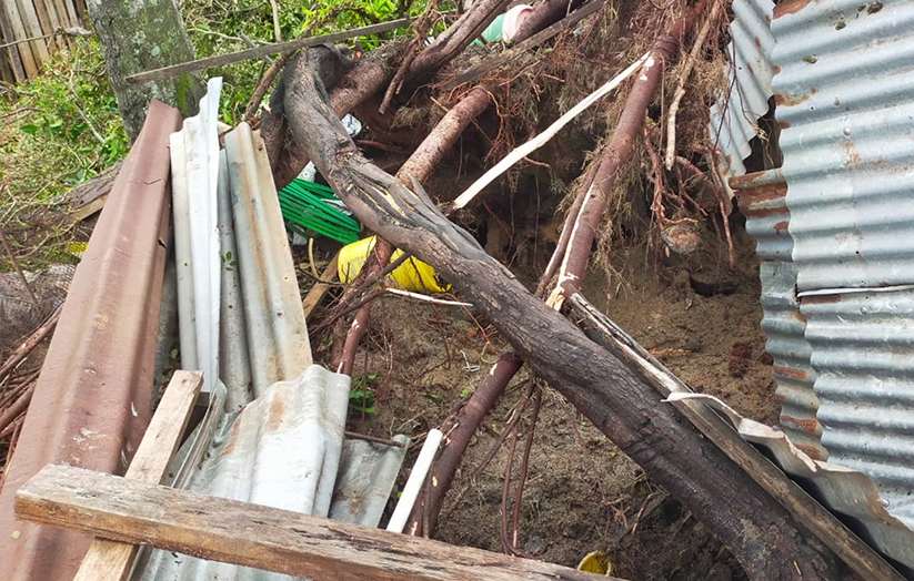 Keadaan kediaman penduduk yang terjejas akibat ribut di Besut. - Astro AWANI