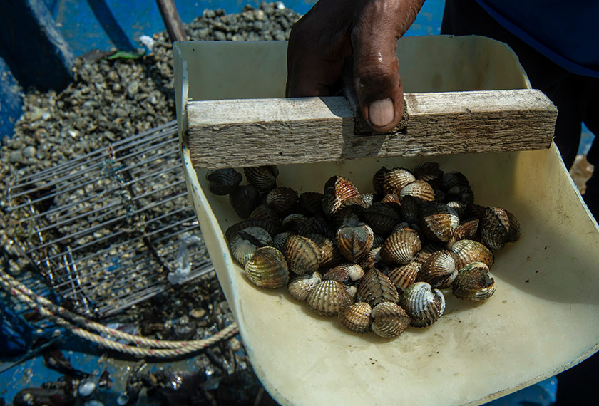 Foto: Bernama / Mustaqim Khairuddin