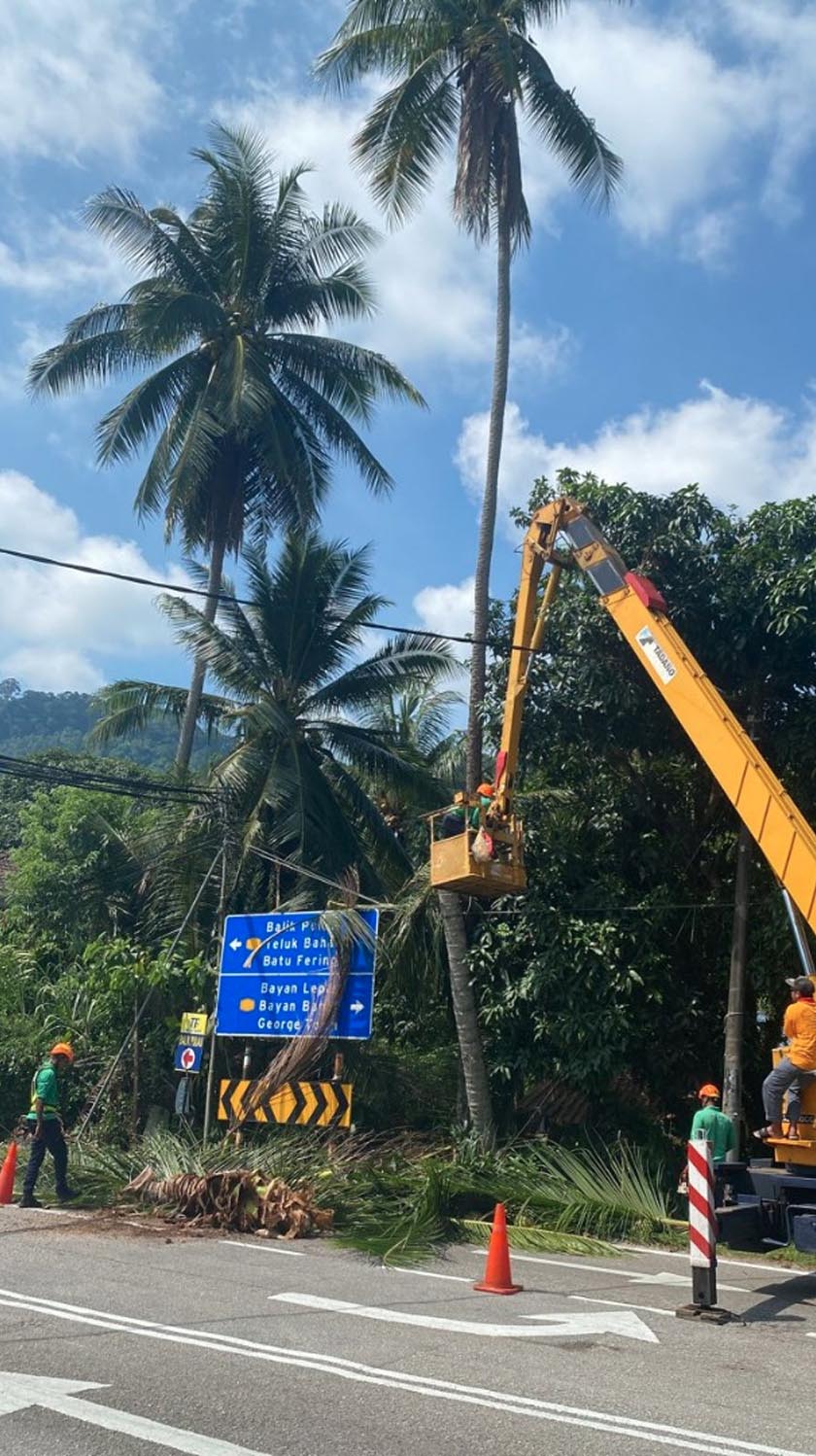 Kerja-kerja penebangan pokok kelapa dimulakan pada jam dua petang tadi. - Foto Astro AWANI