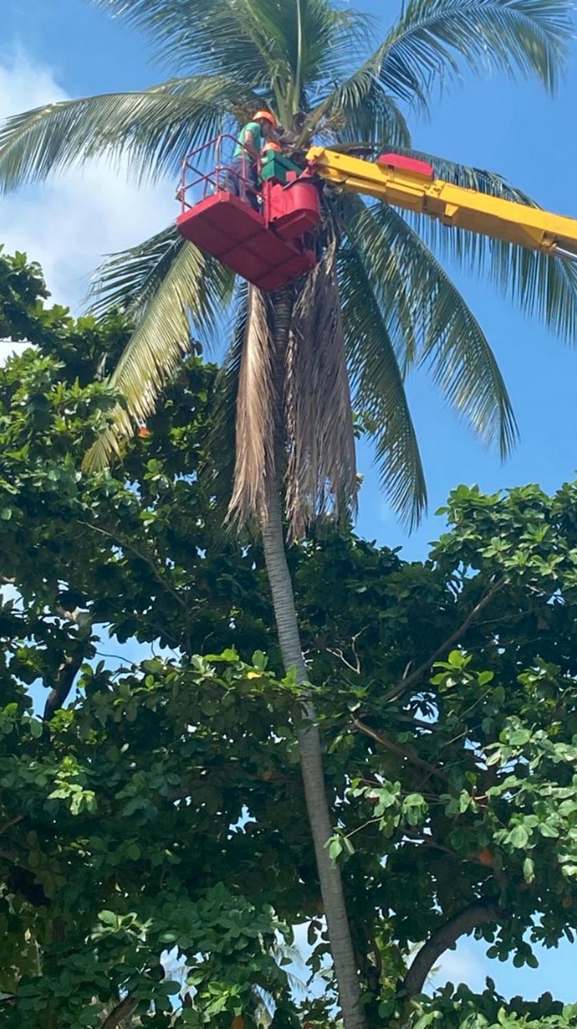  Tindakan itu diambil  sebagai langkah keselamatan selain mengelak insiden sama berulang. - Foto Astro AWANI