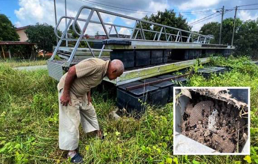 Yahya menunjukkan lokasi sarang tebuan tanah di kawasan padang pemainan kanak-kanak di Kampung Tok Jembal, Kuala Nerus. (Gambar kecil : Sarang tebuan tanah yang berada di lokasi kejadian telah dimusnahkan pihak bomba.)
