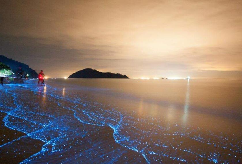 Facebook Tourism Perak