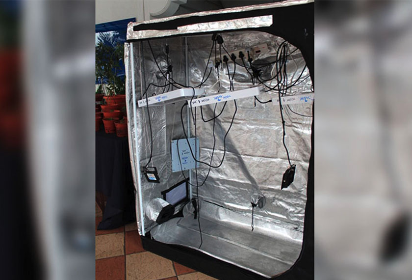 Suspek dipercayai menggunakan media sosial bagi mempelajari selok-belok memproses dadah tersebut.