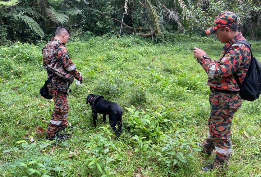Operasi pencarian turut dibantu anggota dari Pasukan Khas Taktikal Operasi Penyelamat Malaysia (STORM), Multi Skill Team (MUST) dan Unit K9. - Foto JBPM