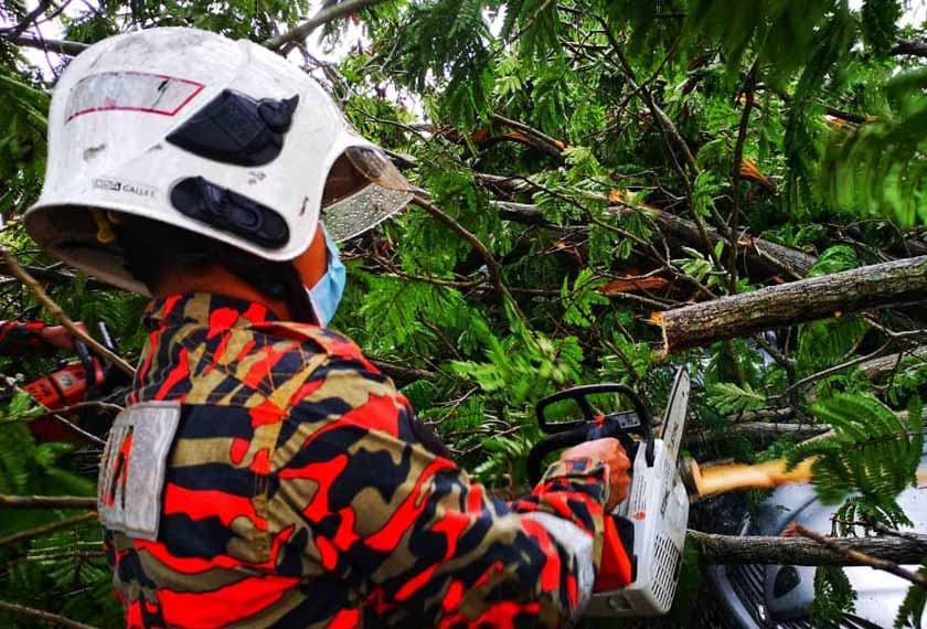 Anggota bomba melakukan kerja-kerja memotong dahan pokok. - Foto ihsan JBPM