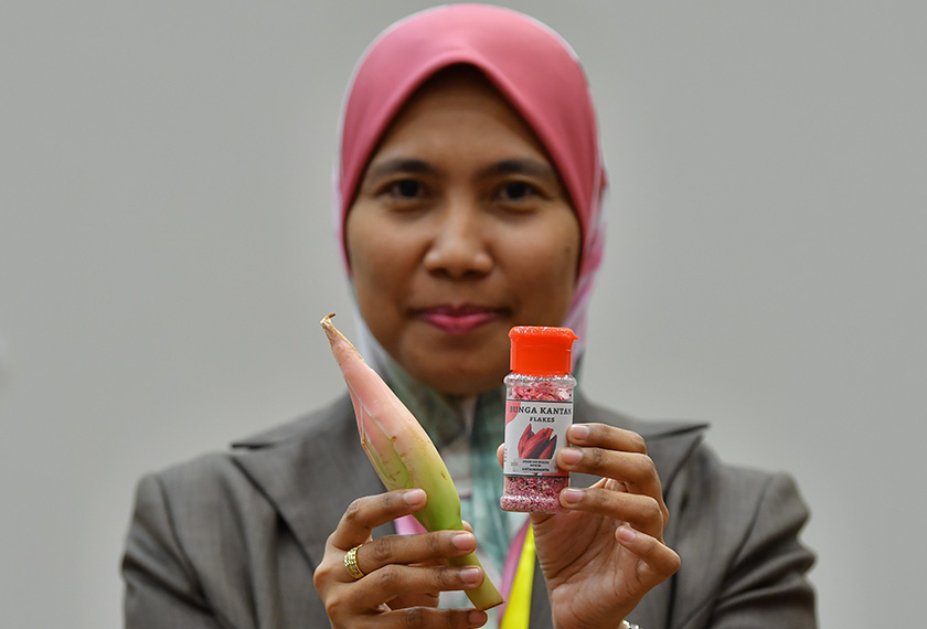 Nor Asiah berkata, idea untuk menghasilkan produk daripada tumbuhan tersebut timbul apabila melihat skop penggunaannya yang terhad kepada masakan semata-mata. --fotoBERNAMA