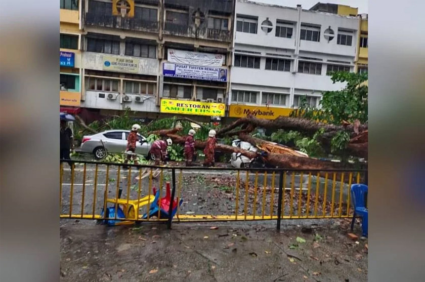 Anggota bomba dan APM sedang menjalankan kerja memotong pokok di lokasi terbabit. - Foto Sinar Harian