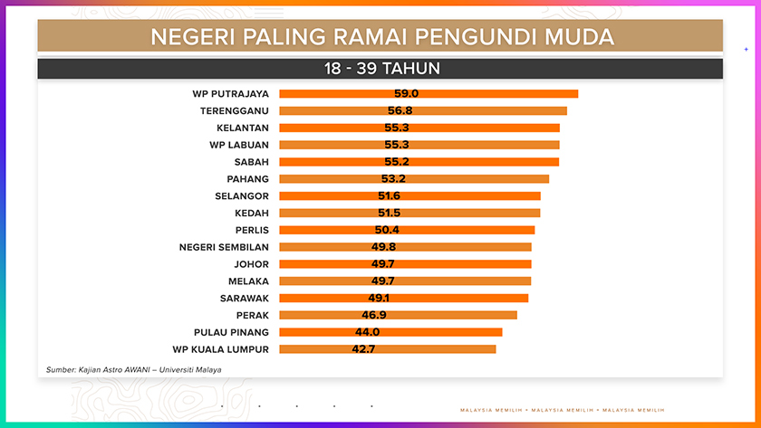 Pengundi muda
