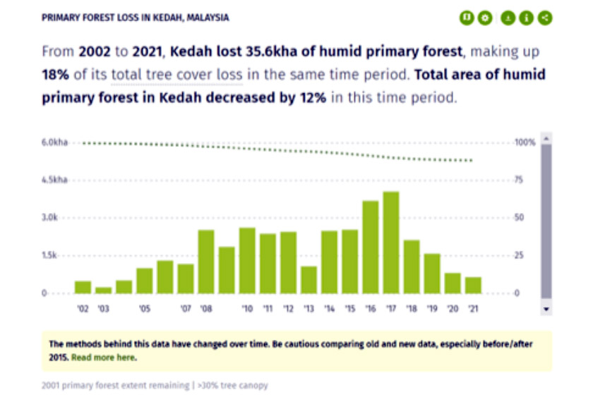 Source: Global Forest Watch/ via EMIR Research