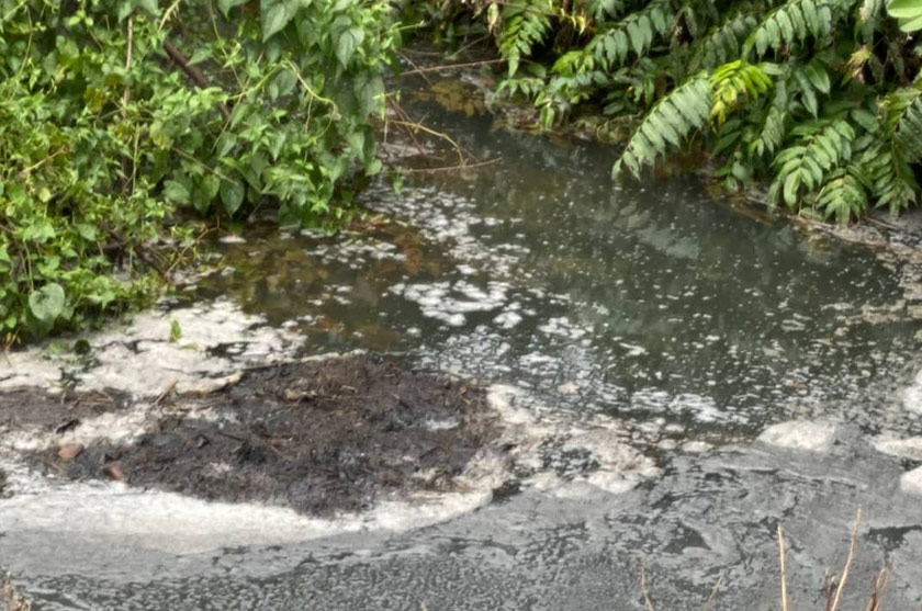 Beginilah keadaan parit, anak sungai yang dilihat Astro AWANI ketika melakukan tinjauan sekitar kawasan Tanjung Sepat.