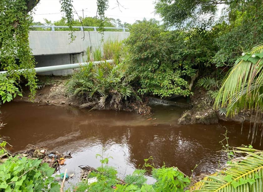 Perbezaaan warna jelas kelihatan pada dua aliran air yang berbeza pada anak sungai ini.