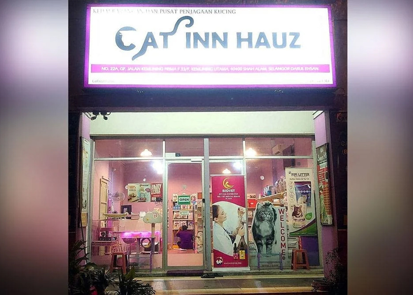 Cat Inn Hauz boleh memuatkan 53 ekor kucing pada hari biasa. - Foto Sinar Harian