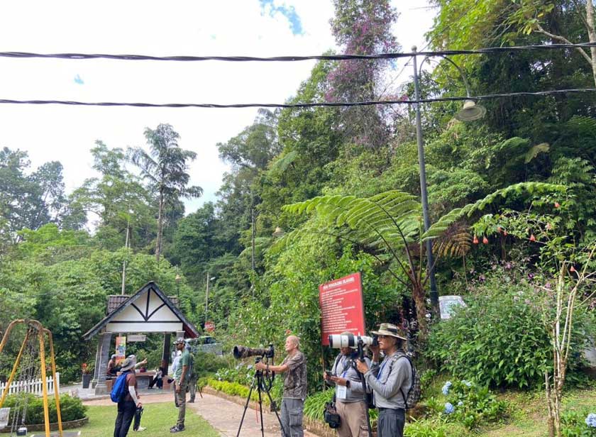 Peserta mencerap burung di Bukit Fraser