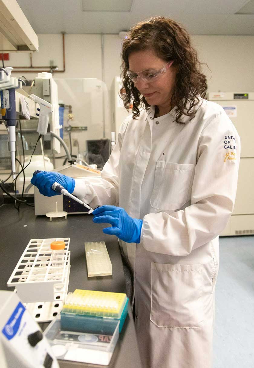 Geneticist Karen Miga is seen at a laboratory, used in research involving the human Y chromosome, at the University of California, in Santa Cruz, California, U.S. - Carolyn Lagattuta, UC Santa Cruz/via REUTERS
