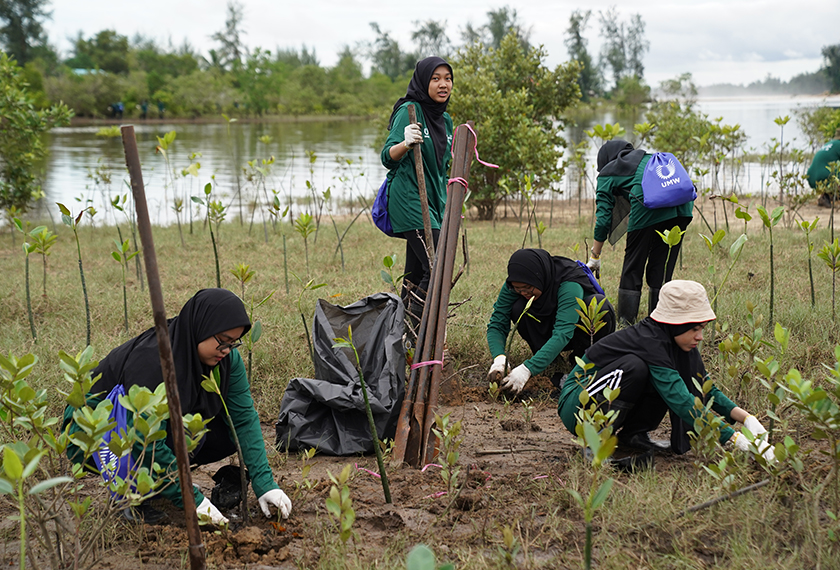 Inisiatif Pucuk Hijau.