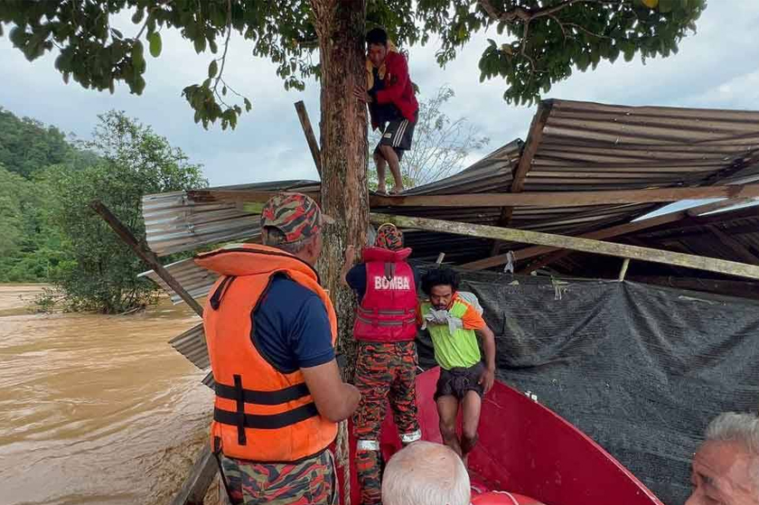 Mangsa yang terperangkap di atas pokok berjaya dibawa turun - JBPM Gua Musang