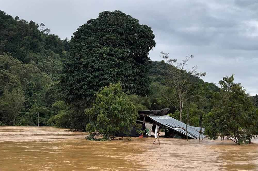Kesemua mangsa dikatakan berada di sebuah kebun sayur berhampiran Sungai Brooke, Gua Musang pada Isnin. - Foto JBPM Gua Musang