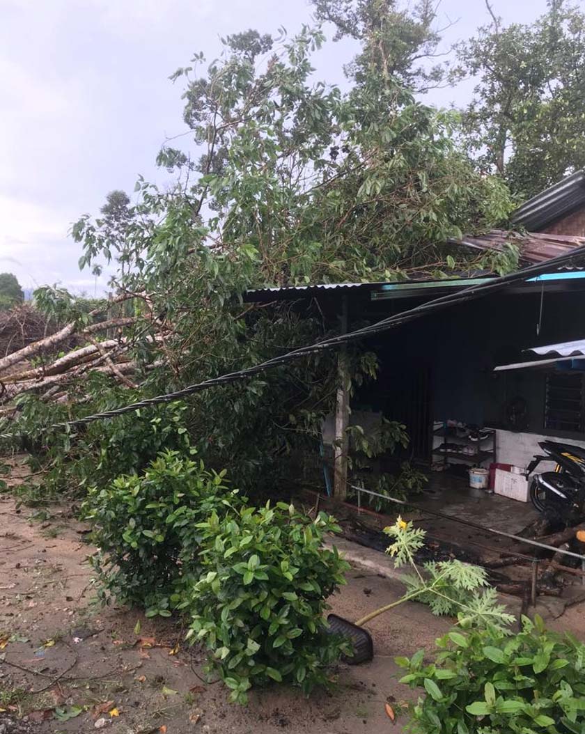 Antara rumah yang rosak akibat dihempap pokok pada Selasa. - Foto JBPM Perak