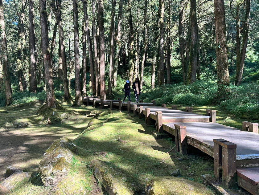  Berjalan kaki menikmati ketenangan hutan pine di Alishan National Forest. - Astro AWANI/Hamzah Hamid