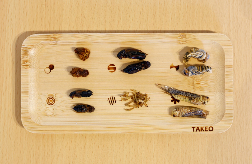 Various insects on a plate are pictured at Take-Noko cafe in Tokyo, Japan. - REUTERS