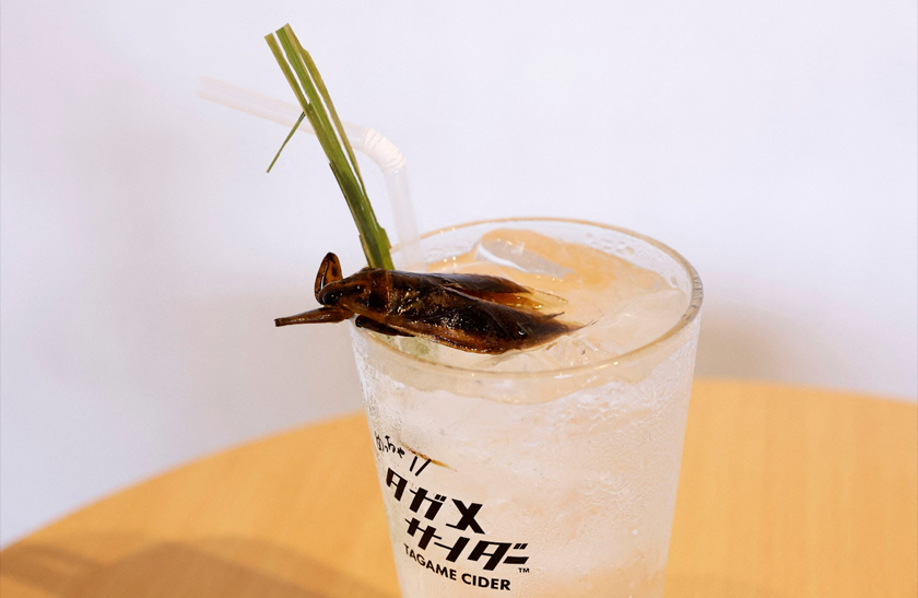 Tagame Cider, a carbonated drink made with the extract of giant water bugs and garnished with a dried version of the insect, is pictured at Take-Noko cafe in Tokyo, Japan. - REUTERS