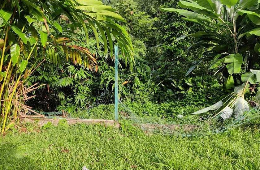 Pagar belakang yang menjadi laluan masuk kawanan gajah liar ke kawasan SK Pos Perwor, Sungai Siput pada Khamis.