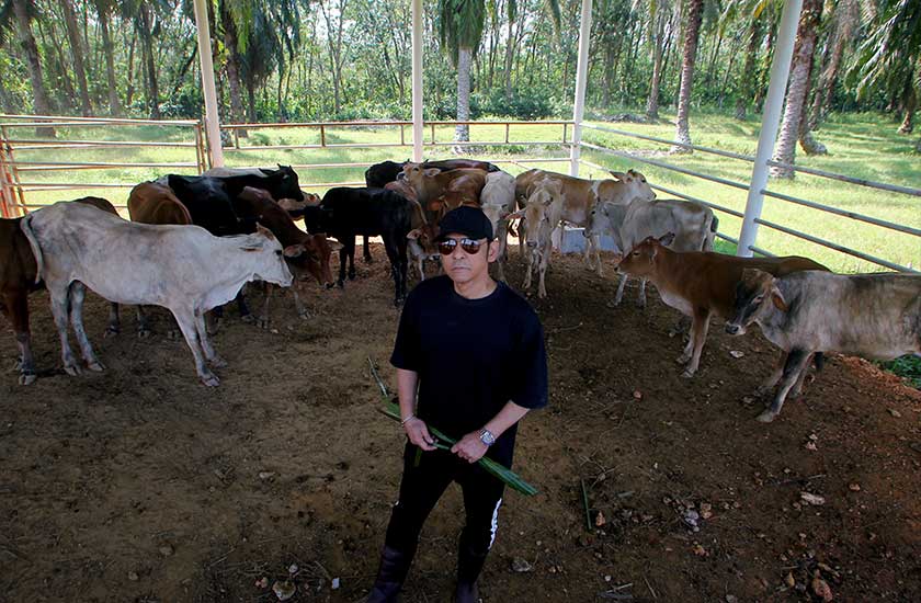 Ladang seluas hampir dua hektar itu telah dibina kandang yang boleh memuatkan 300 hingga 400 ekor lembu dan kawasan untuk menternak kambing yang juga dalam perancangannya. - Foto Bernama