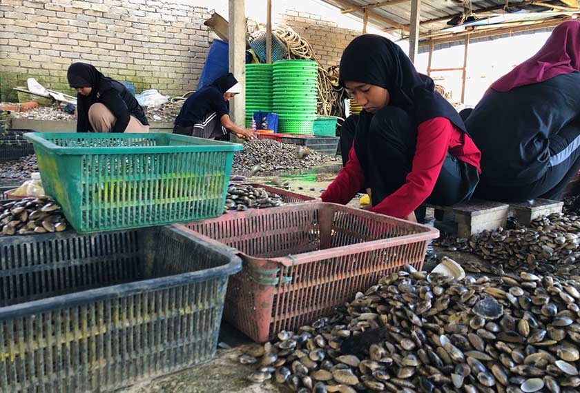 Nur Aini Husna meluangkan masa dua jam sehari mengelas siput dan mendapat upah kira-kira RM16.