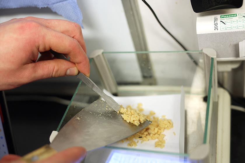 Entomology technician Thomas Dixon weighs and quantifies eggs in a scale at the lab of the Entocycle insect farm in London, Britain. - REUTERS