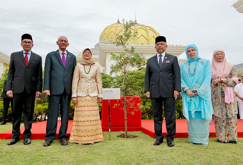 Halimah Yacob (tiga, kiri) dan suami Mohamed Abdullah Alhabshee (dua, kiri) selepas menyempurnakan Majlis Penanaman Pokok Gelam di pekarangan Istana Negara hari ini. - Foto BERNAMA