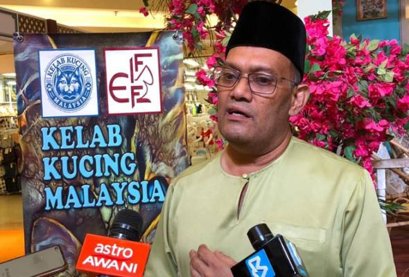 Kelab Kucing Malaysia berjaya selamatkan hampir 1,600 ekor kucing ...