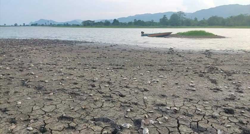 Cuaca panas menyaksikan air di Tasik Timah Tasoh di Padang Besar menyusut dan keadaan tanah turut merekah. - Sinar Harian