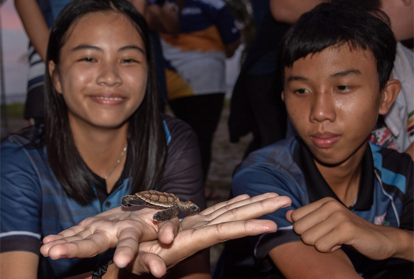Acara istimewa itu menyaksikan anak-anak penyu tersebut 'diiringi' 80 sukarelawan. - Foto Bernama