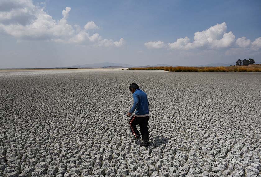 Alex Flores walks on a dry area of Lake Titicaca, Latin America's largest freshwater basin, as it is edging towards record low levels, on Cojata Island, Bolivia. - REUTERS