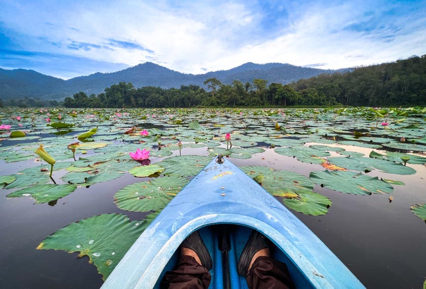 Berkayak di Tasik Raban yang dipenuhi teratai.