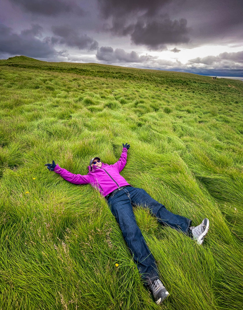 Rumput hijau dalam perjalanan ke Garis Artik.