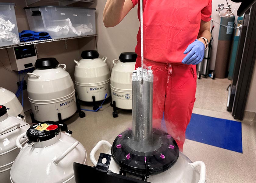 A nurse practitioner for Huntsville Reproductive Medicine, PC, lifts frozen embryos out of IVF cryopreservation dewar in Madison, Alabama, US. - REUTERS/Filepic