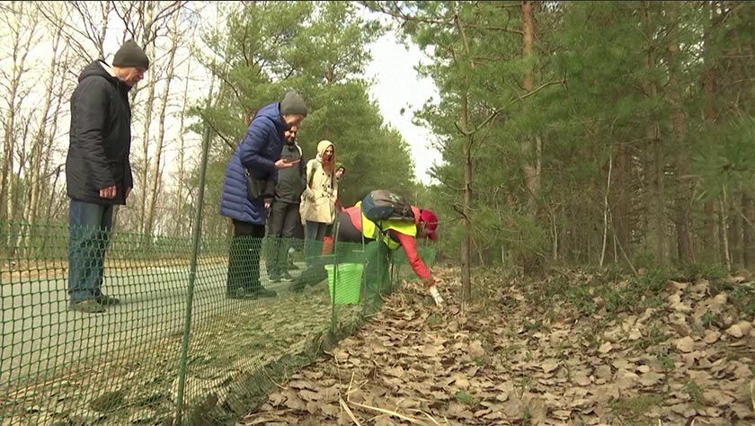 The nature reserve put out a call for volunteers this spring to help the toads cross safely and were astonished by the interest it received. - Screenshot/REUTERS